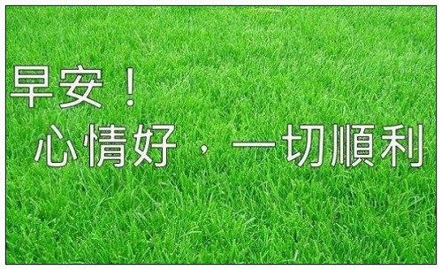 用作揖怎么造句子？