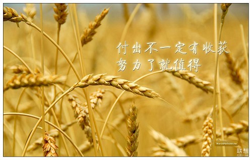 滴滴的近义词_点点滴滴的近义词_滴滴近义词是什么